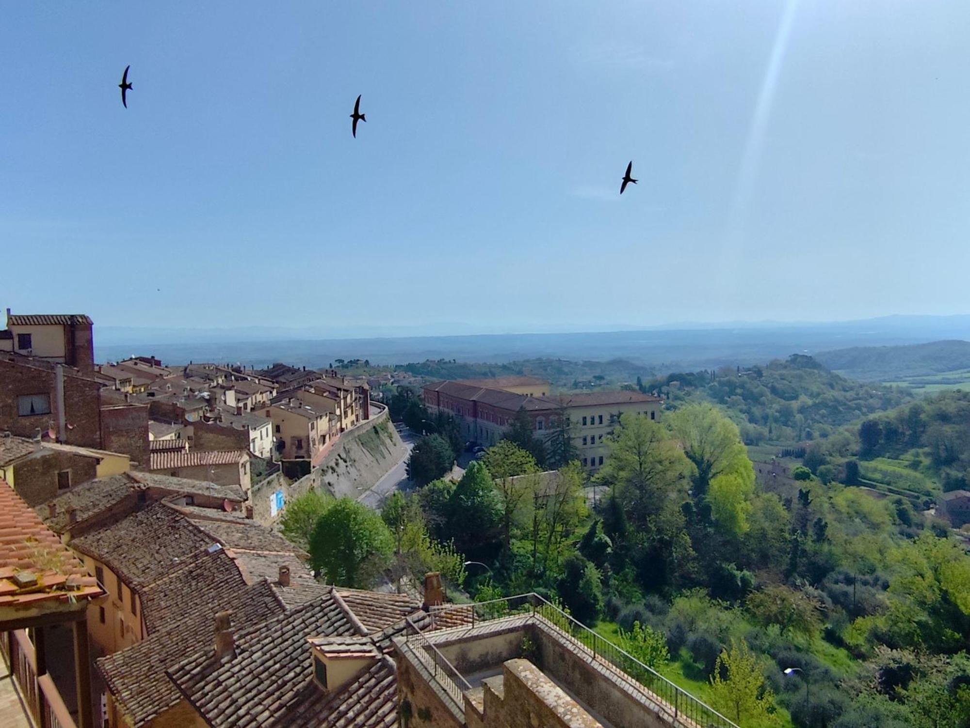 Dimora Dell'Erbe Apartment Montepulciano Stazione Eksteriør billede